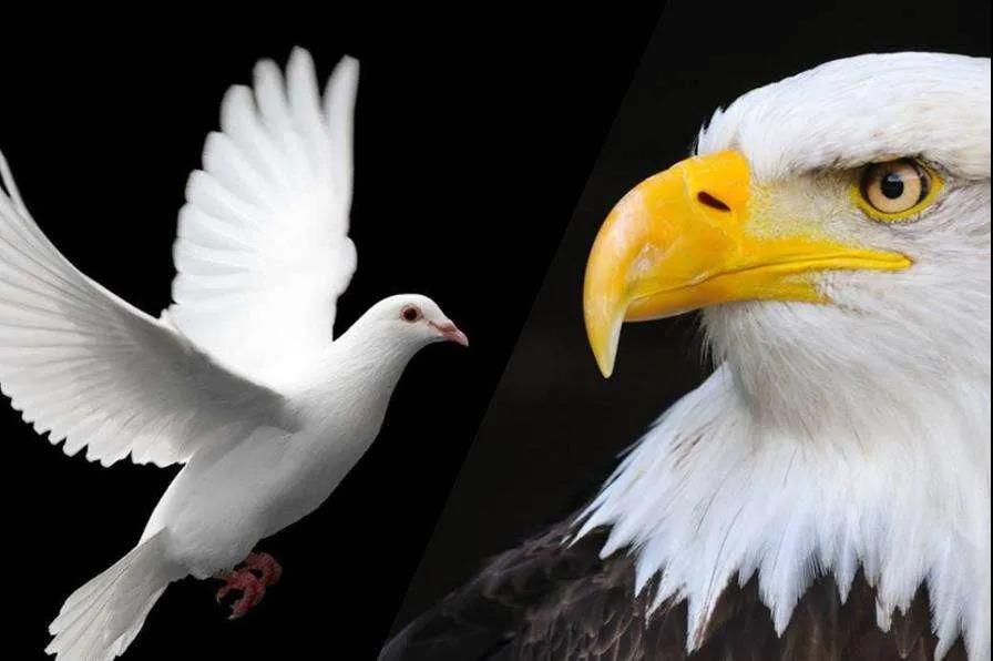 空头注意!金价恐还有大跌空间,鲍威尔今日又将登场!